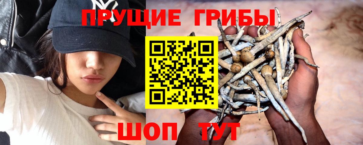 Галлюциногенные грибы прущие грибы Мытищи